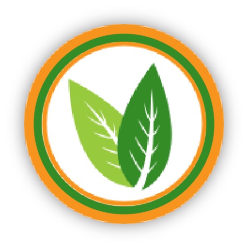 Logo for Vegans Meet Daily